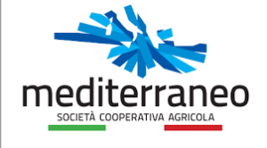 mediterraneo-logo